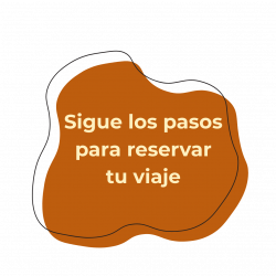 Que incluye